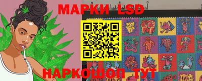ECSTASY Камышлов