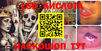 гидропоника Канаш