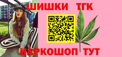 ECSTASY Камышлов