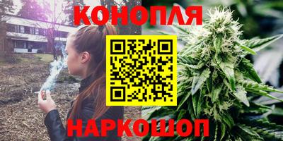ECSTASY Камышлов