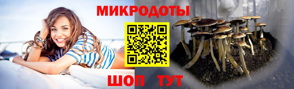 Псилоцибиновые грибы Cubensis  Вход с VPN  купить наркотик  Кувандык 