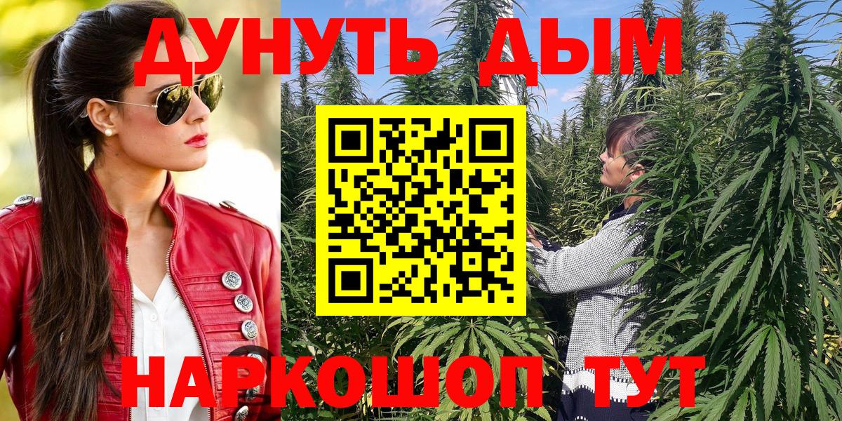 Канабис планчик  Канабис Ganja  Кувандык  Вход с VPN  Марихуана конопля 
